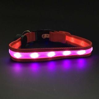 Rød hundehalsbånd med 7 lysfarver og blinkende lys - Size:L